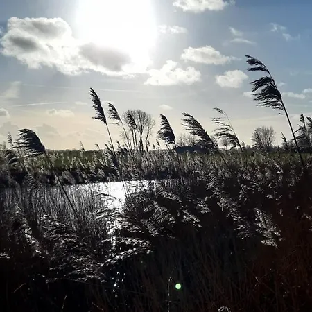 Casa de Férias Tuinhuis *