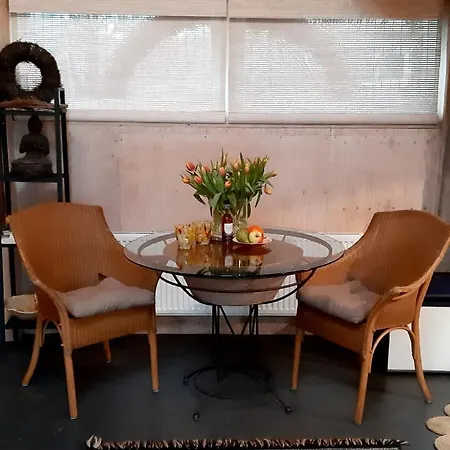 Tuinhuis Casa de Férias Lutjewinkel