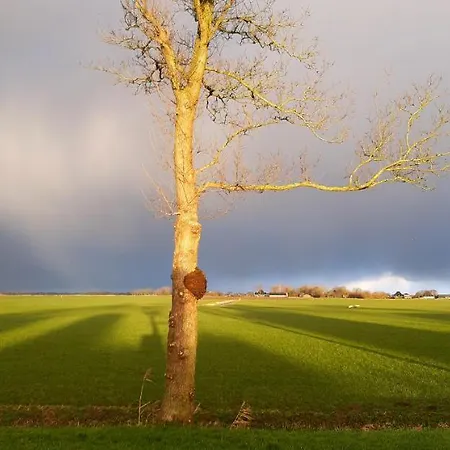 Tuinhuis Vakantiehuis *