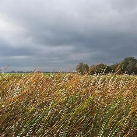 Casa de Férias Tuinhuis *