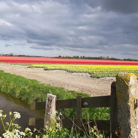 Tuinhuis * Lutjewinkel