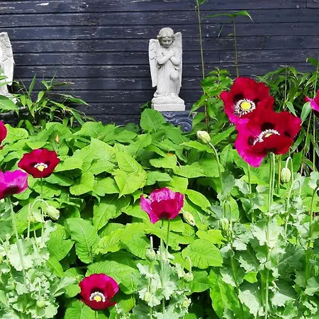 Casa de Férias Tuinhuis