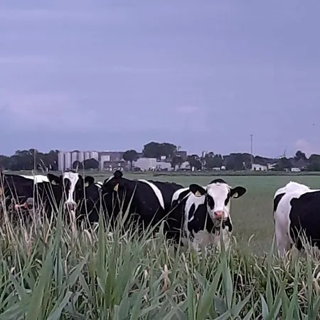 Casa de Férias Tuinhuis *