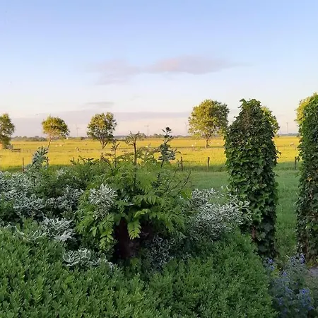 Vakantiehuis Tuinhuis Lutjewinkel