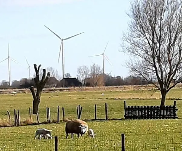 Tuinhuis Vakantiehuis