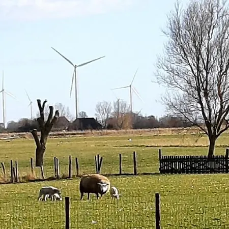 Tuinhuis Dom wakacyjny